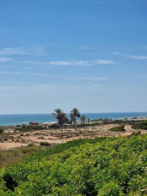 Marbella Sea View Apartament Arenales del Sol Zewnętrze zdjęcie